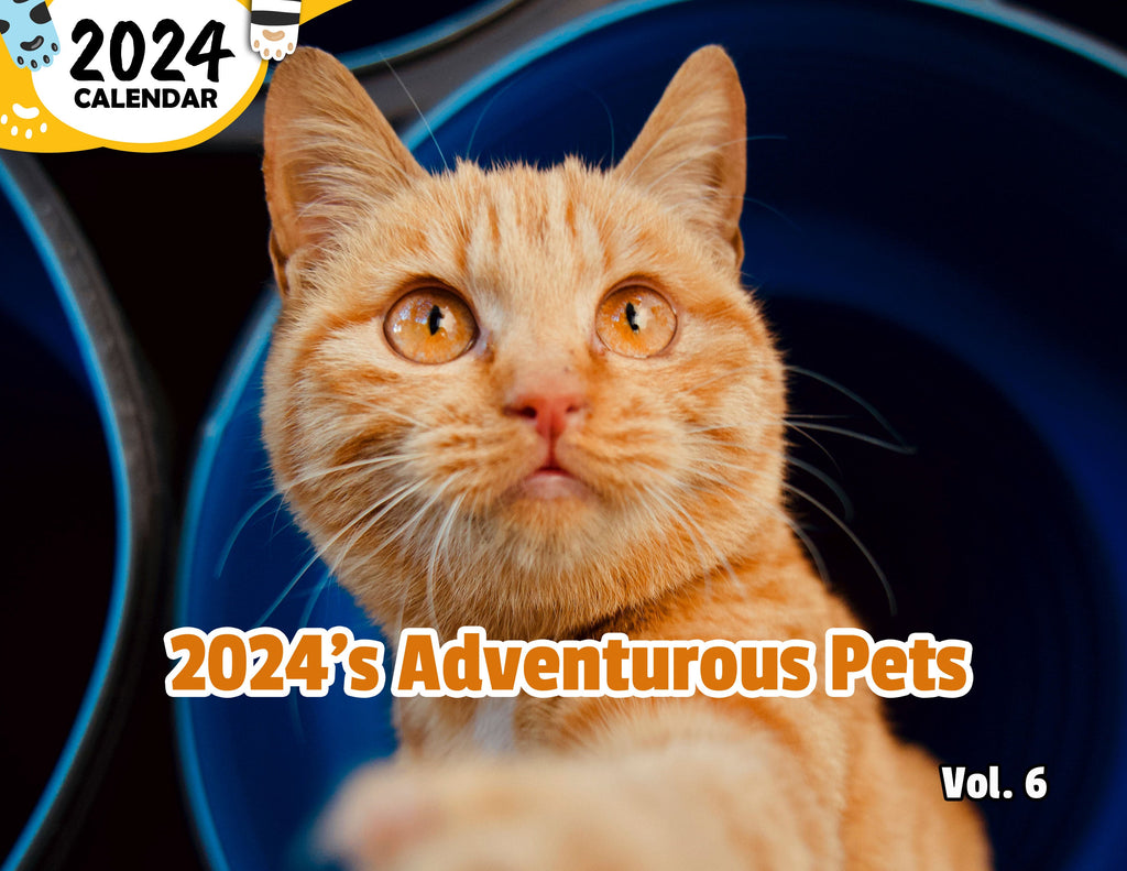 2024's Adventurous Pets Volume Six: 2024 Wall Calendar (Published)