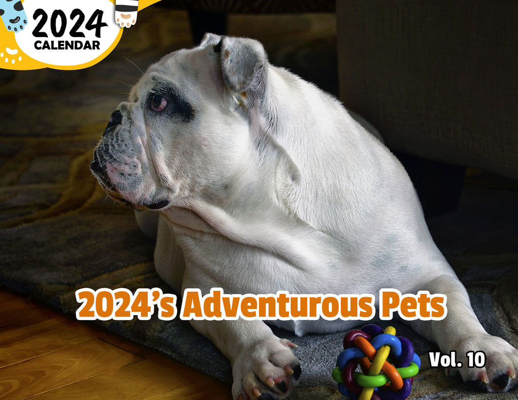 2024's Adventurous Pets Volume Ten: 2024 Wall Calendar (Published)