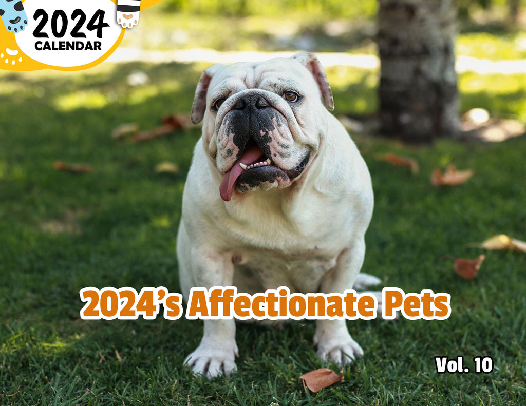 2024's Affectionate Pets Volume Ten: 2024 Wall Calendar (Published)