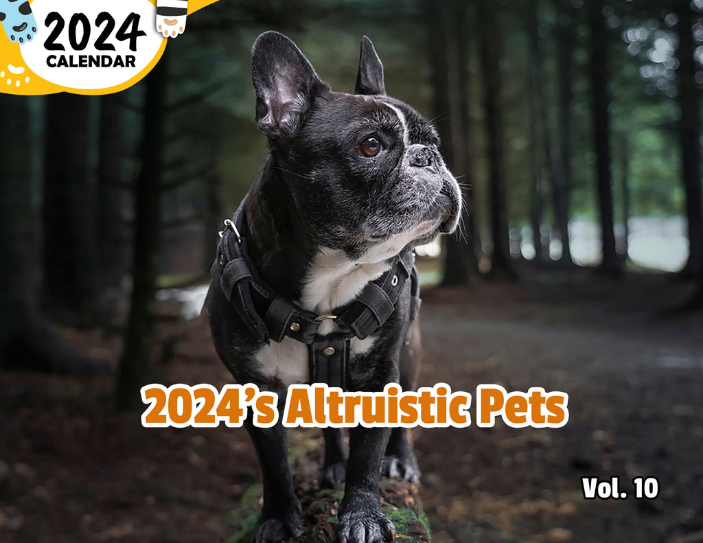 2024's Altruistic Pets Volume Ten: 2024 Wall Calendar (Published)