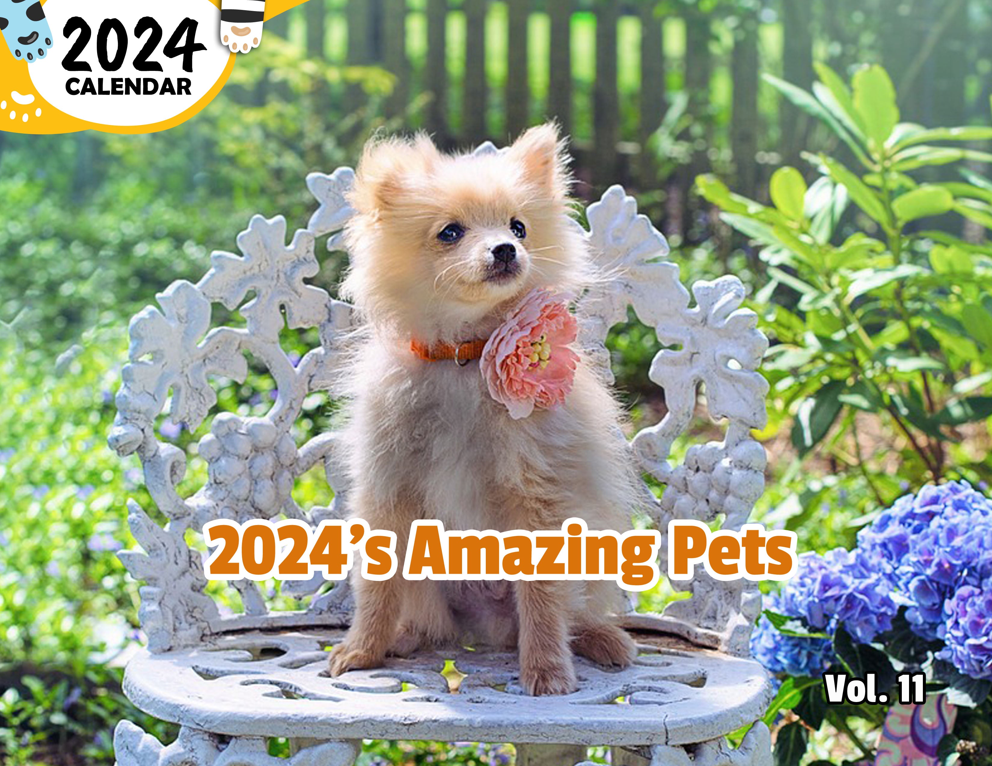 2024's Amazing Pets Volume Eleven: 2024 Wall Calendar (Published)