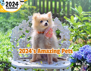 2024's Amazing Pets Volume Eleven: 2024 Wall Calendar (Published)