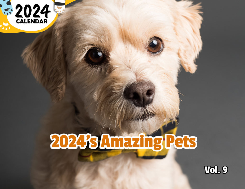 2024's Amazing Pets Volume Nine: 2024 Wall Calendar (Published)