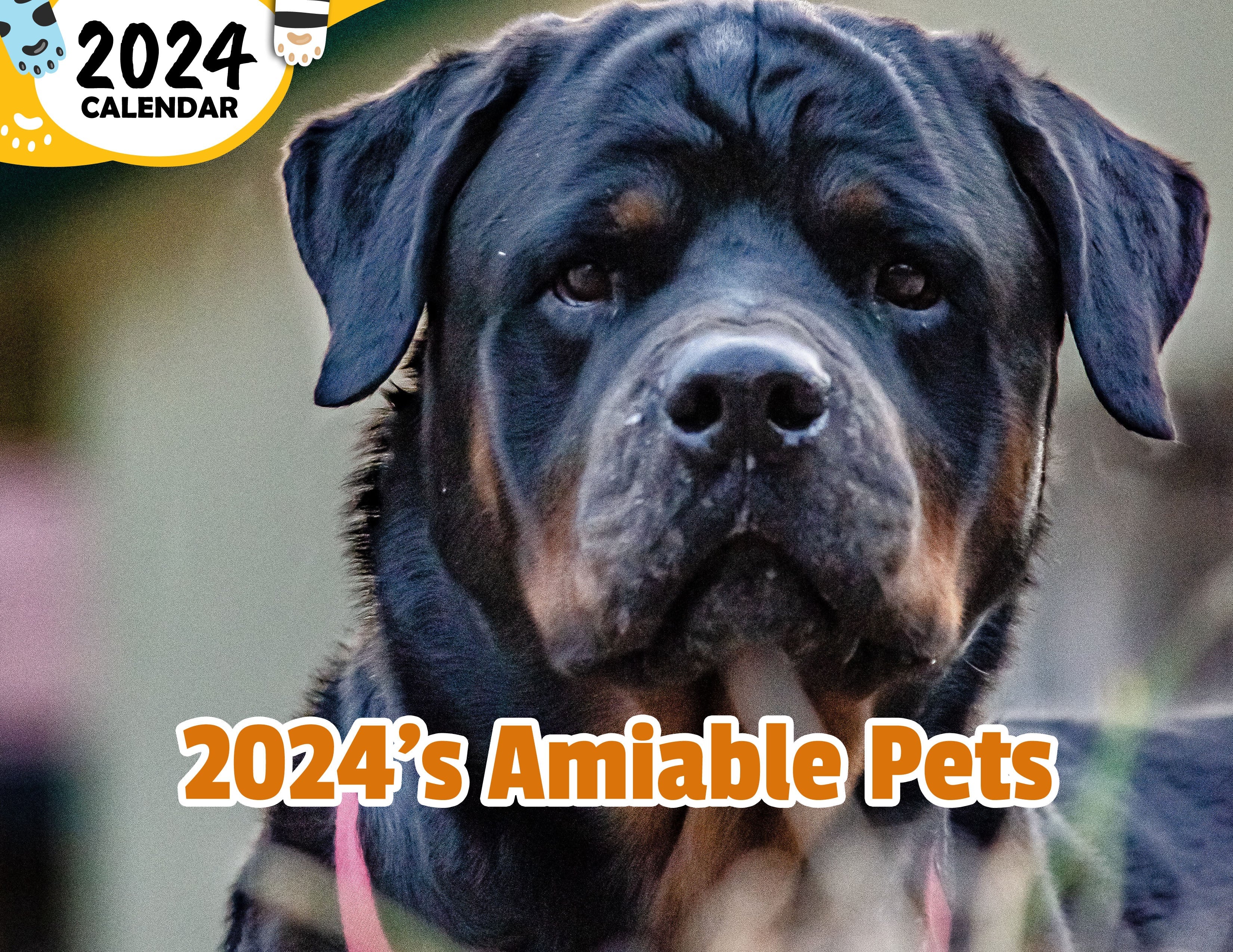 2024's Amiable Pets: 2024 Wall Calendar (Published)