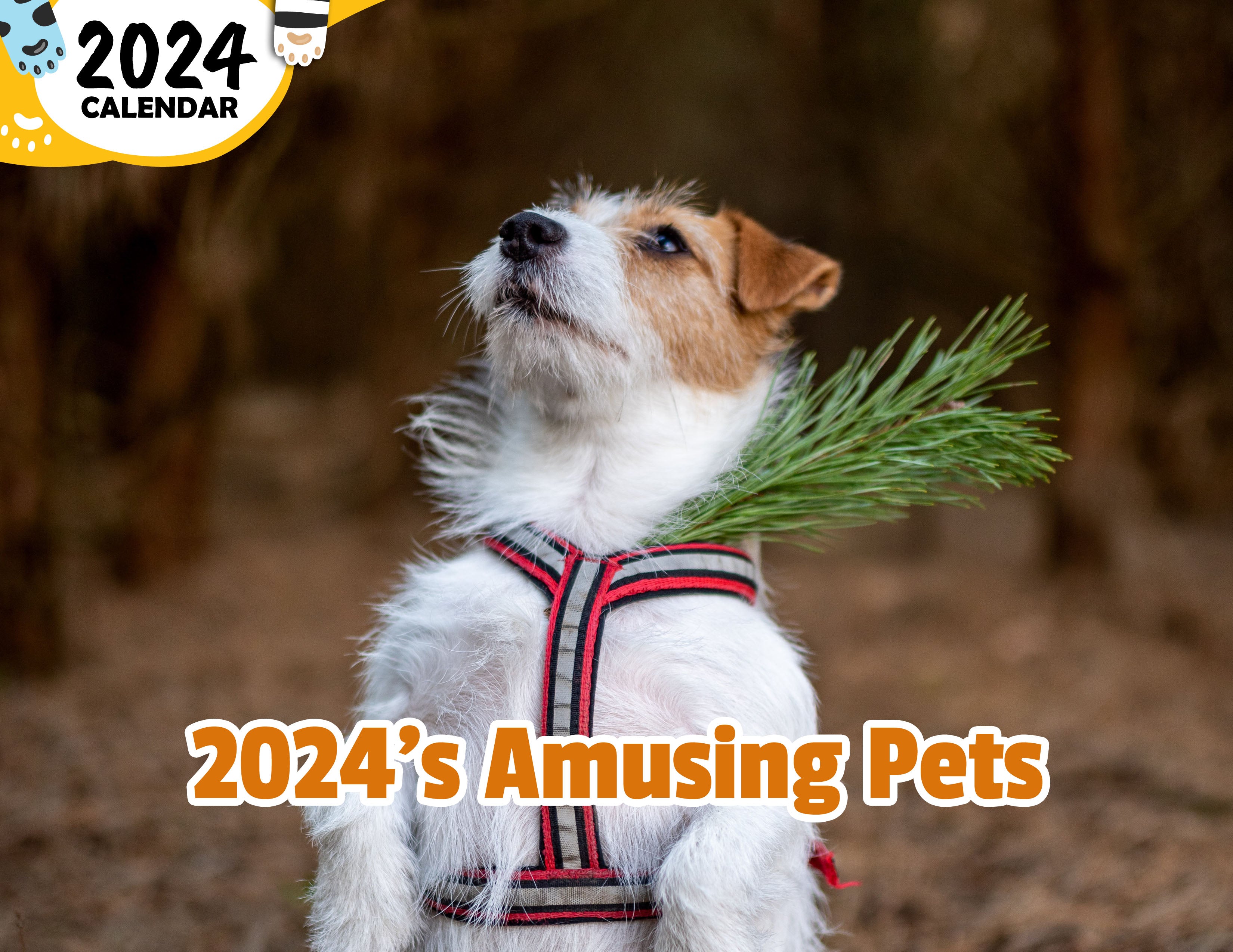 2024's Amusing Pets: 2024 Wall Calendar (Published)