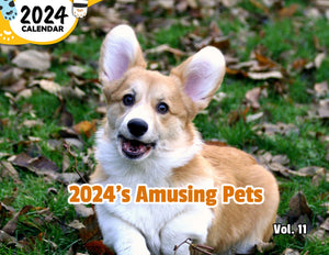 2024's Amusing Pets Volume Eleven: 2024 Wall Calendar (Published)