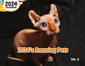 2024's Amusing Pets Volume Six: 2024 Wall Calendar (Published)