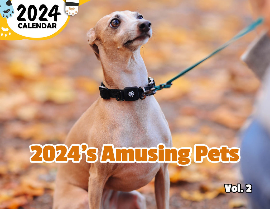 2024's Amusing Pets Volume Two: 2024 Wall Calendar (Published)