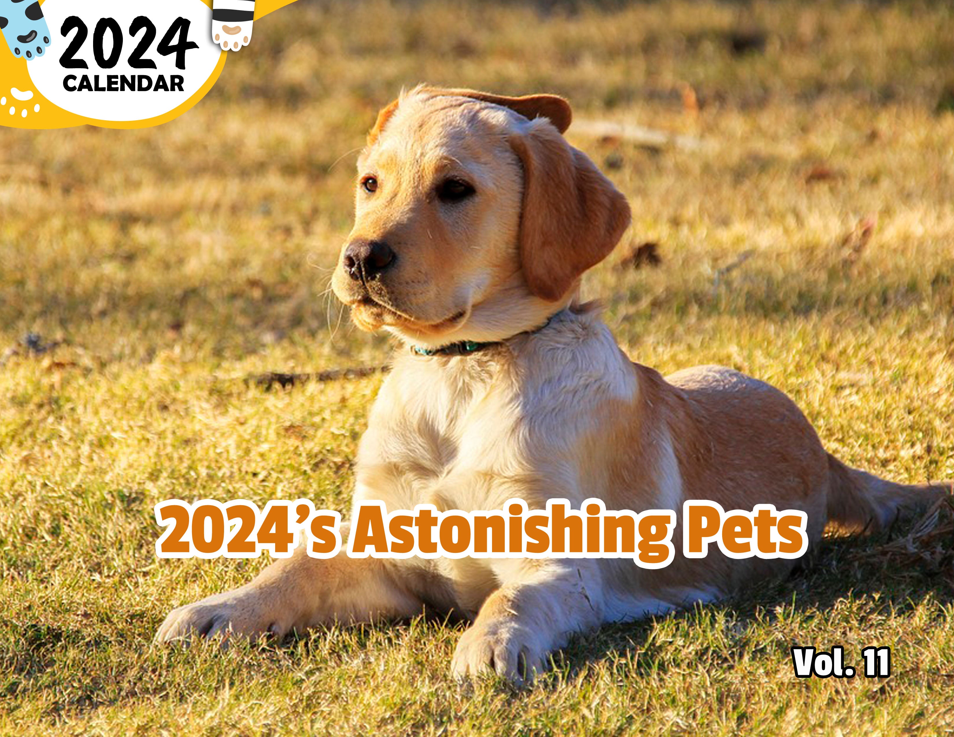 2024's Astonishing Pets Volume Eleven: 2024 Wall Calendar (Published)