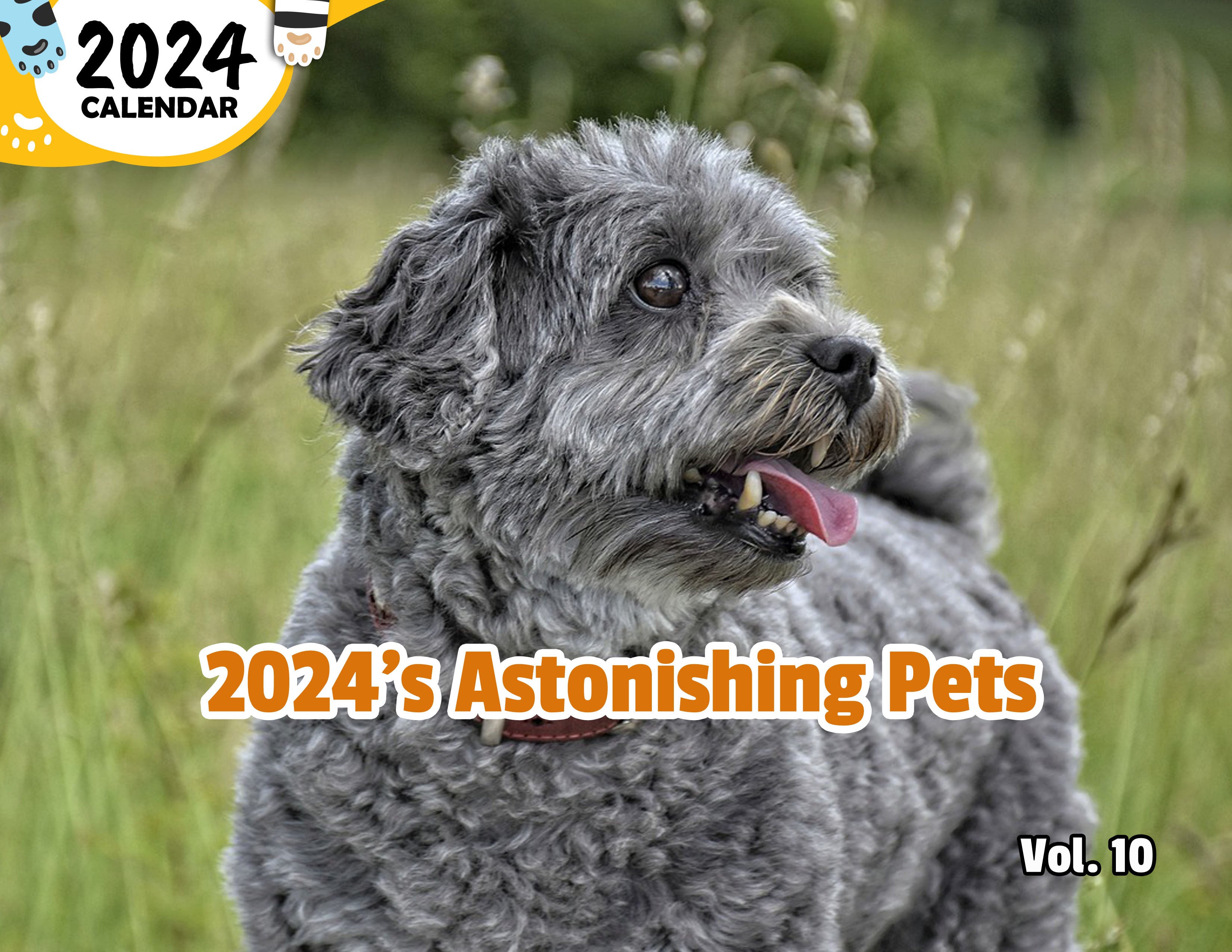 2024's Astonishing Pets Volume Ten: 2024 Wall Calendar (Published)