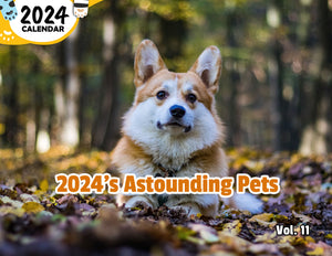 2024's Astounding Pets Volume Eleven: 2024 Wall Calendar (Published)