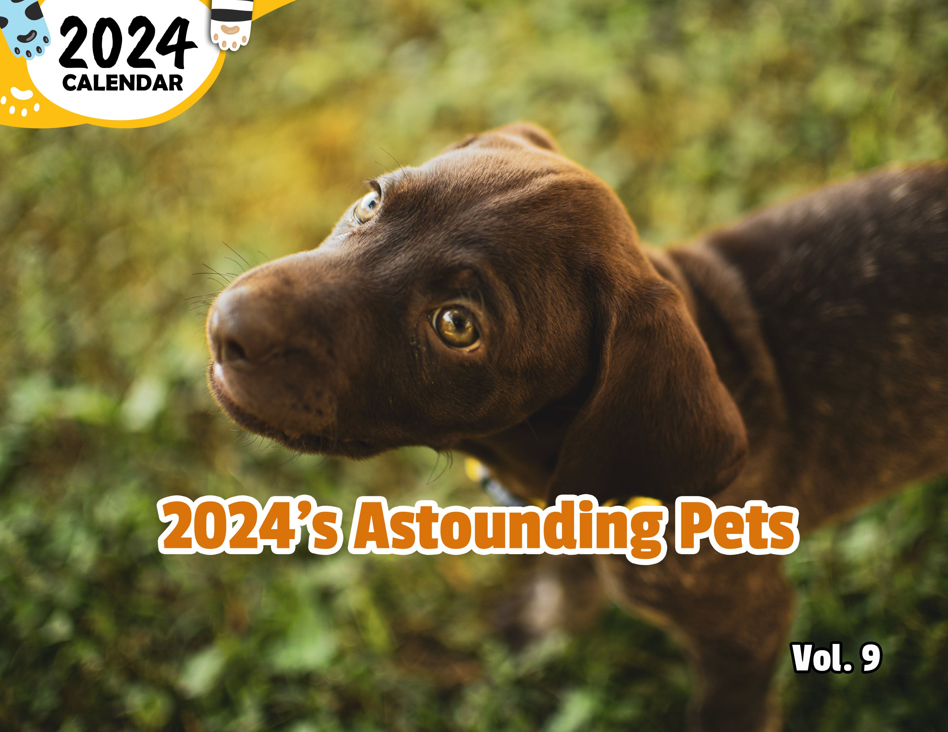 2024's Astounding Pets Volume Nine: 2024 Wall Calendar (Published)