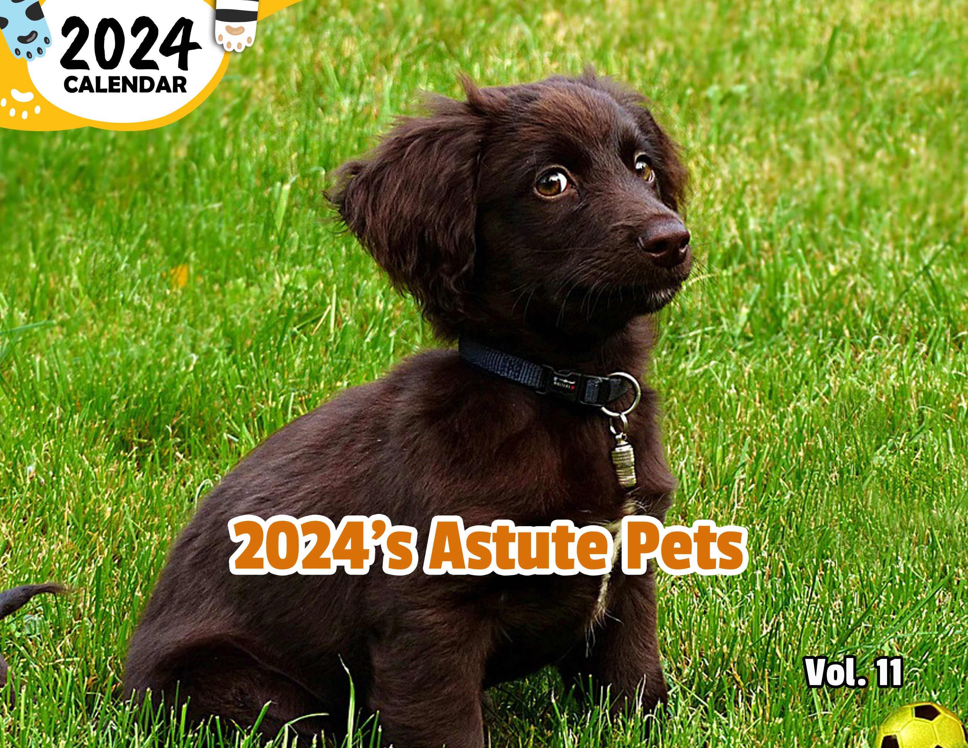 2024's Astute Pets Volume Eleven: 2024 Wall Calendar (Published)