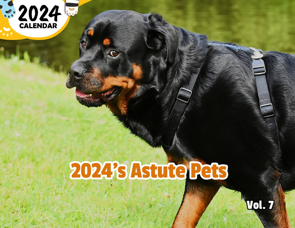 2024's Astute Pets Volume Seven: 2024 Wall Calendar (Published)