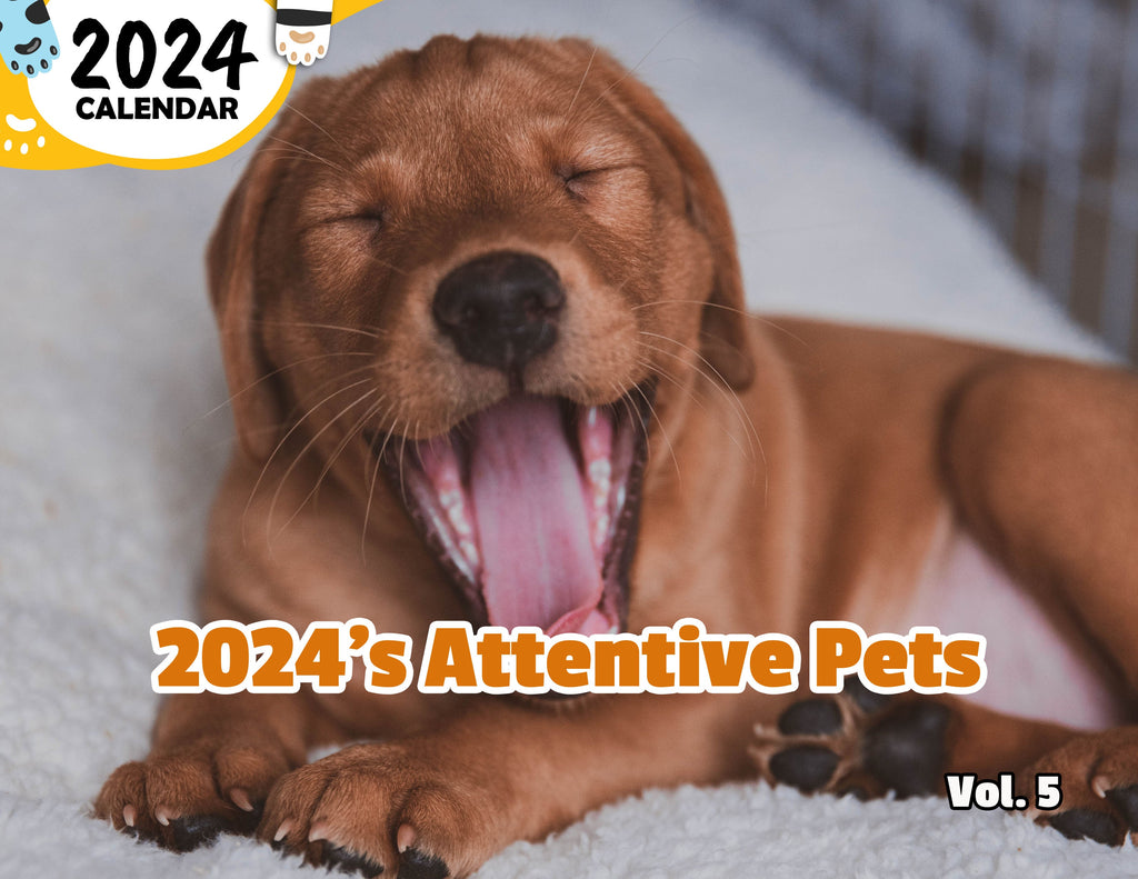 2024's Attentive Pets Volume Five: 2024 Wall Calendar (Published)