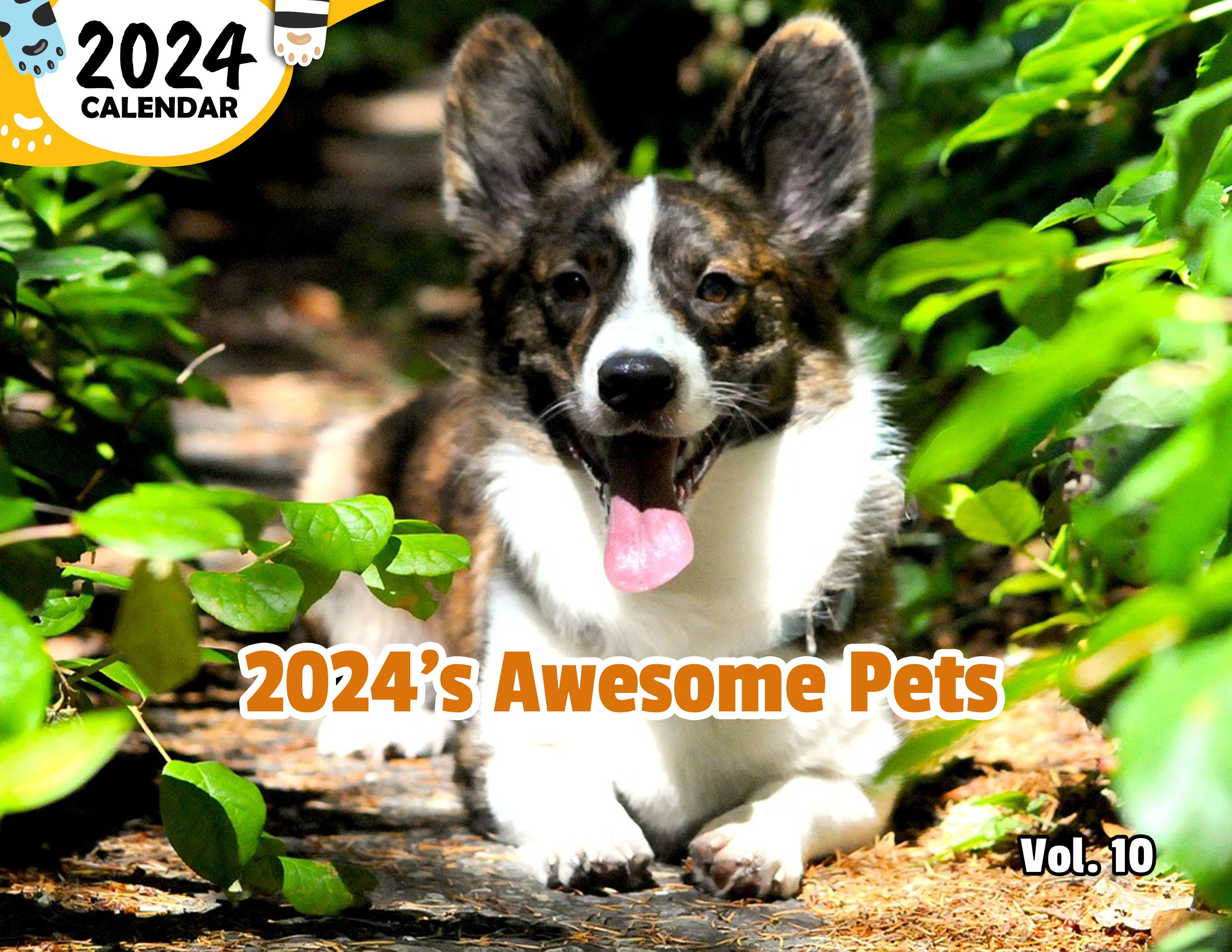 2024's Awesome Pets Volume Ten: 2024 Wall Calendar (Published)