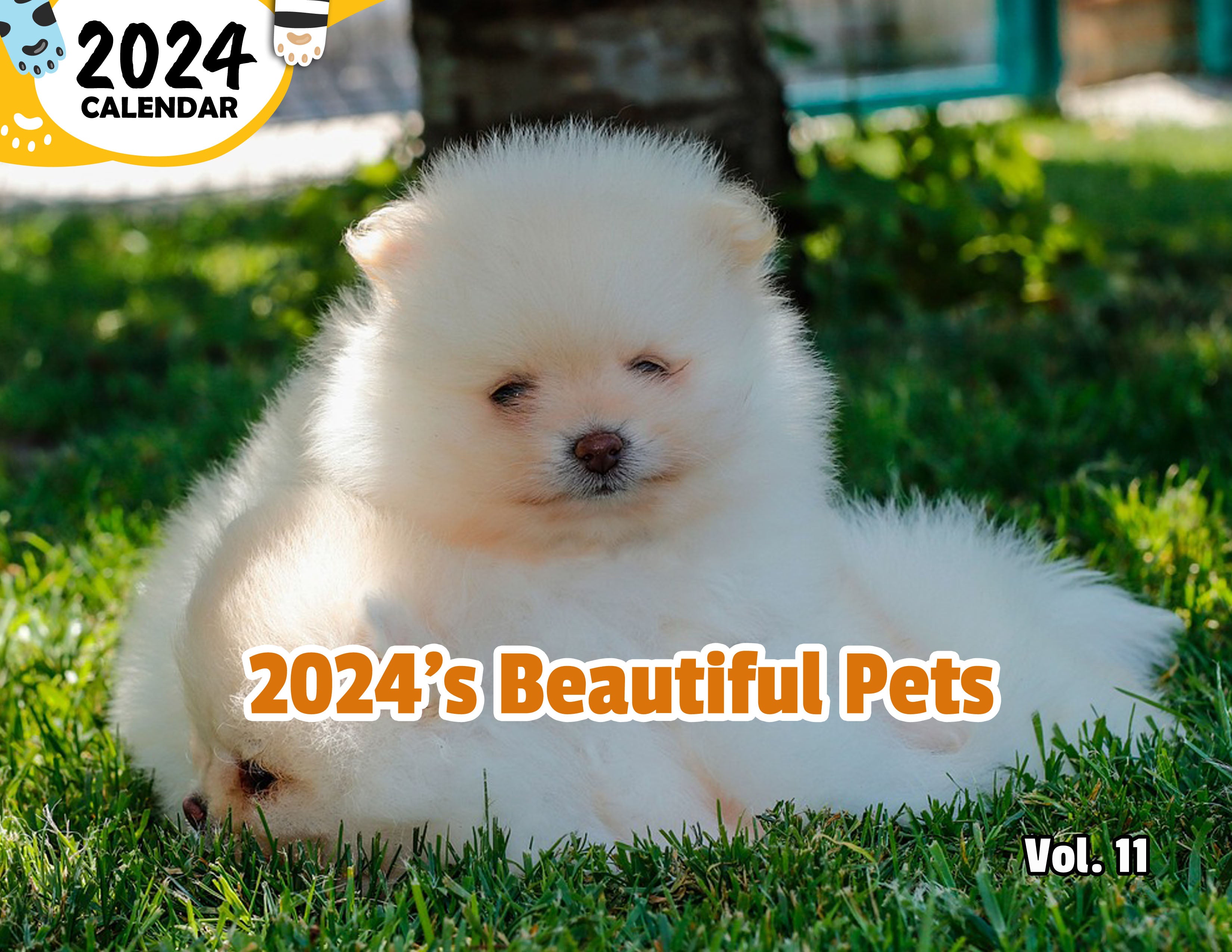 2024's Beautiful Pets Volume Eleven: 2024 Wall Calendar (Published)