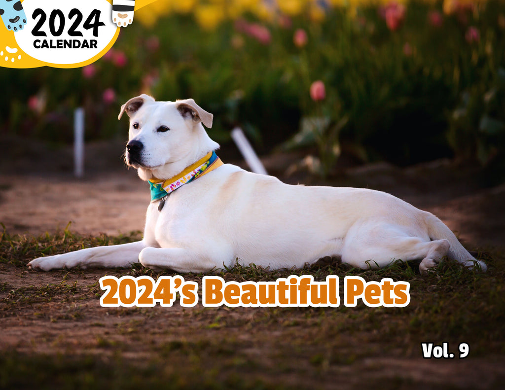 2024's Beautiful Pets Volume Nine: 2024 Wall Calendar (Published)