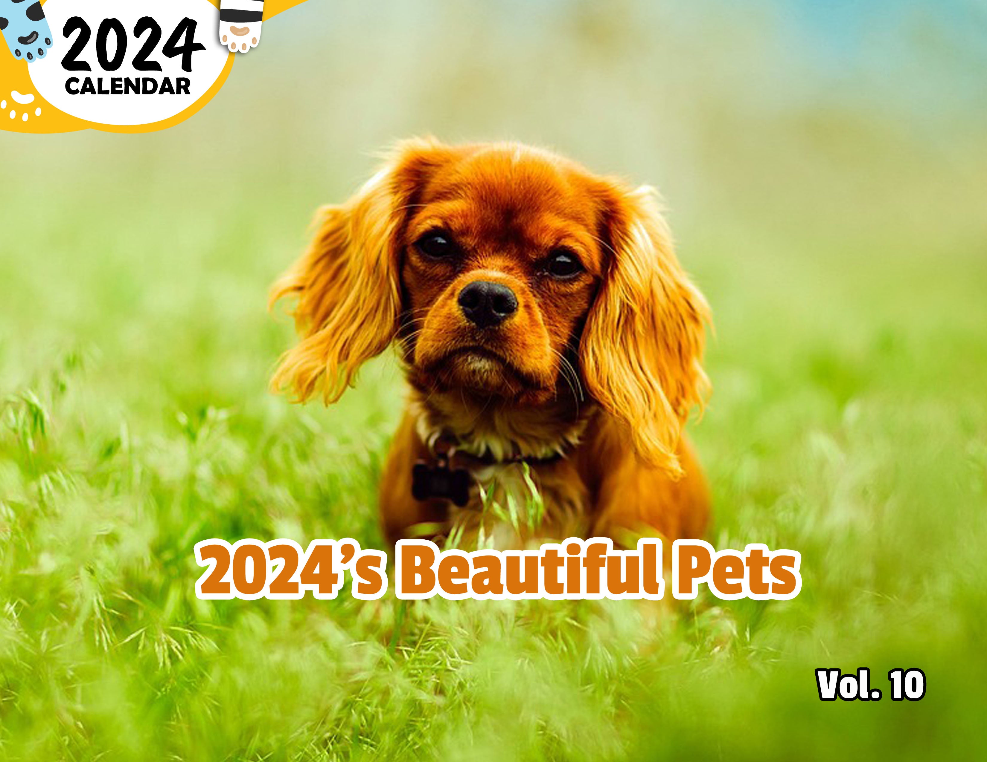 2024's Beautiful Pets Volume Ten: 2024 Wall Calendar (Published)