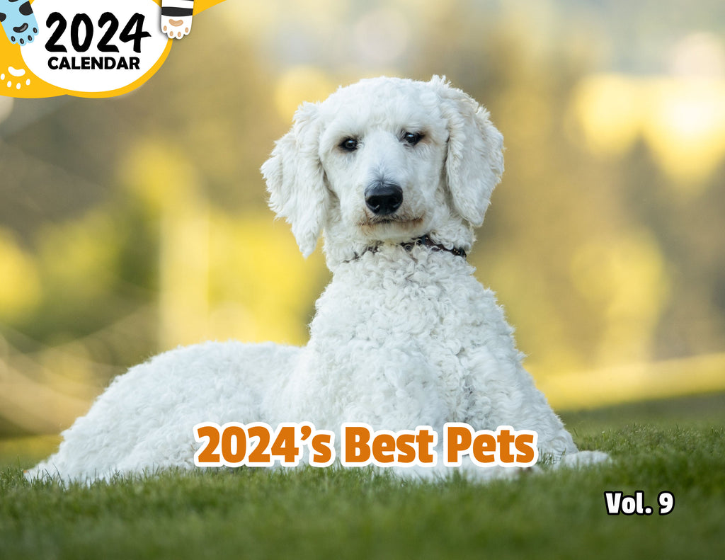 2024's Best Pets Volume Nine: 2024 Wall Calendar (Published)