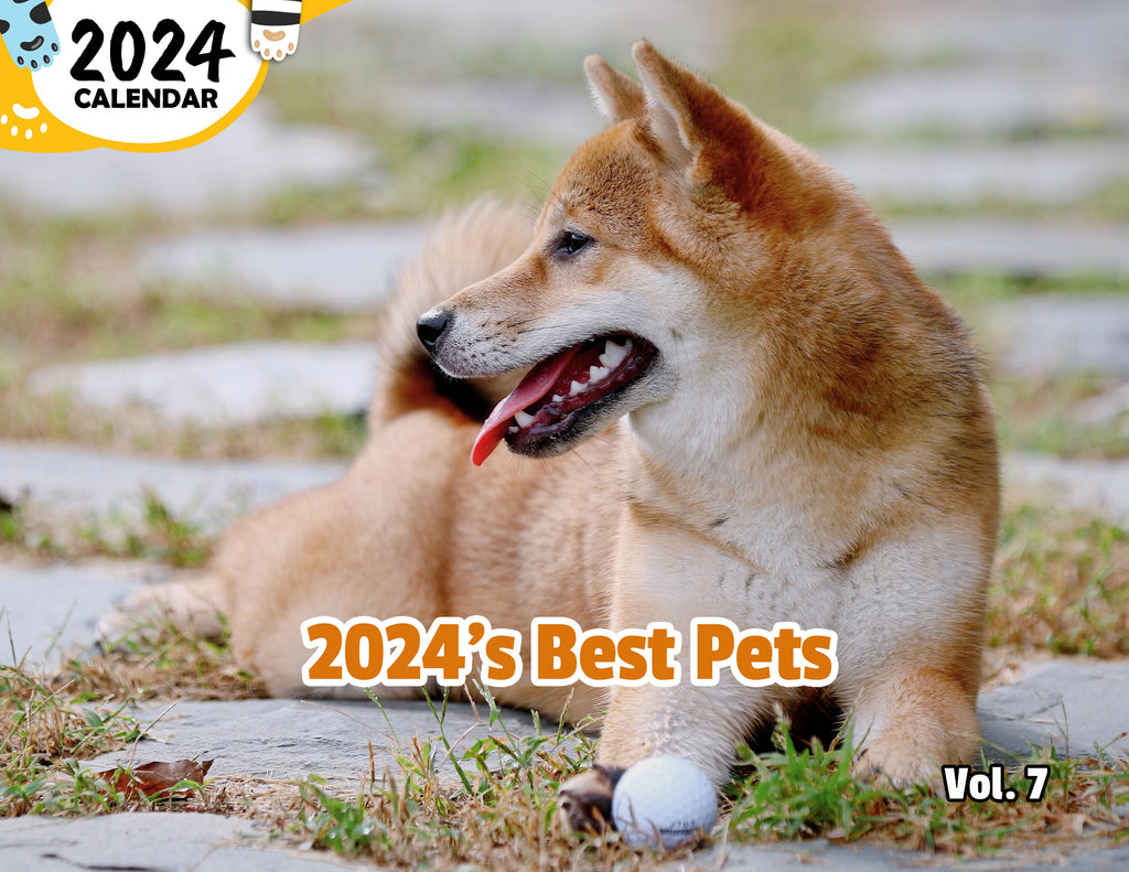 2024's Best Pets Volume Seven: 2024 Wall Calendar (Published)