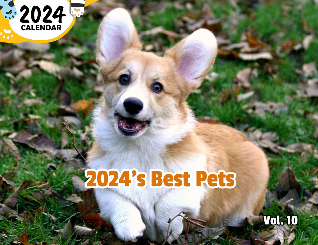 2024's Best Pets Volume Ten: 2024 Wall Calendar (Published)