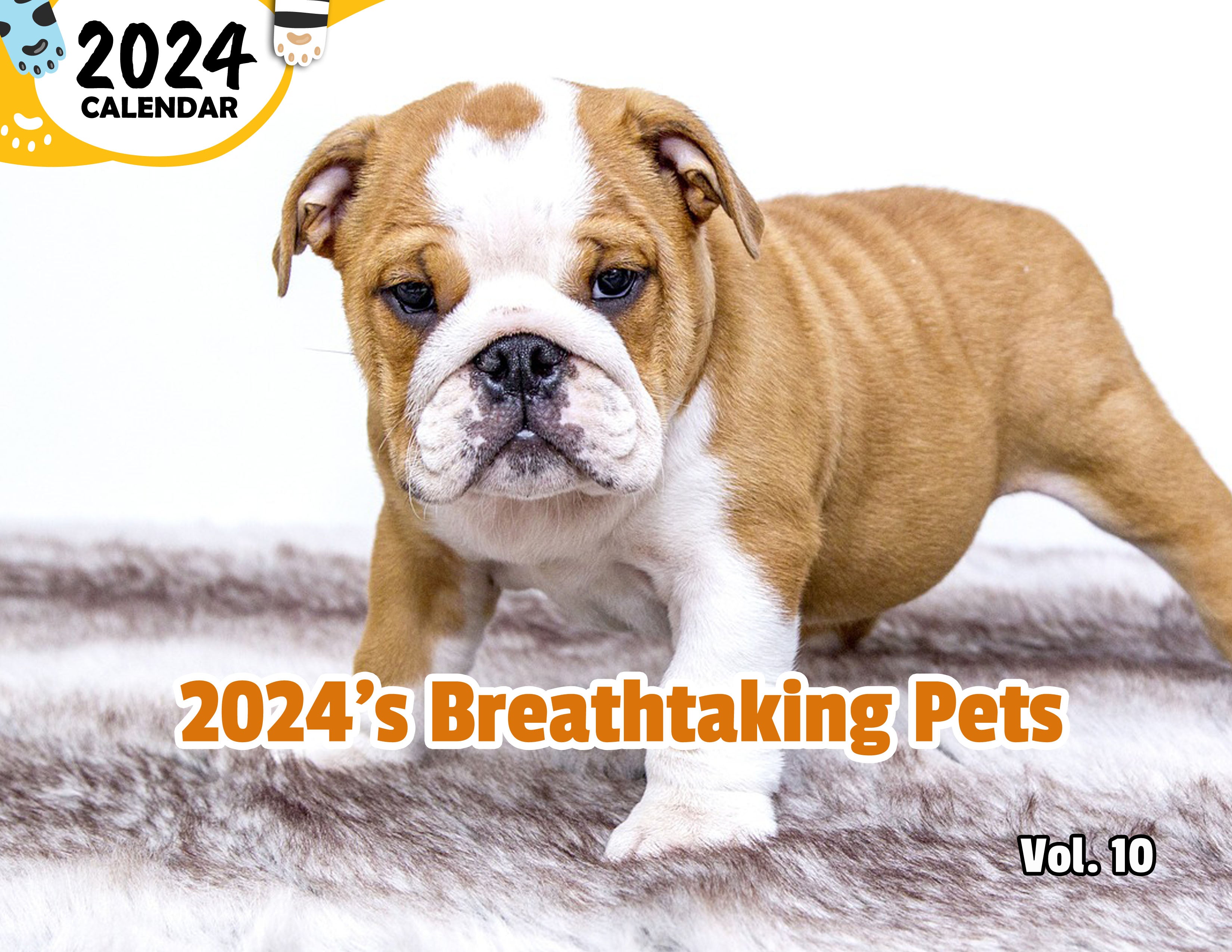 2024's Breathtaking Pets Volume Ten 2024 Wall Calendar (Published