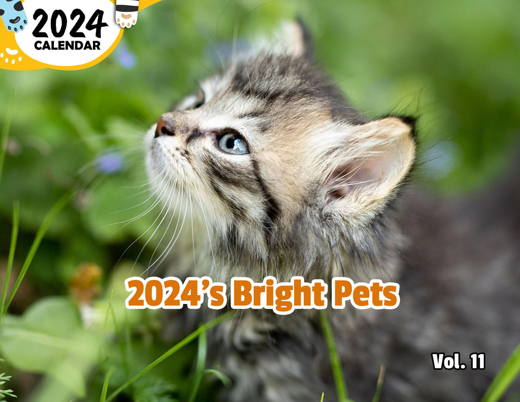 2024's Bright Pets Volume Eleven: 2024 Wall Calendar (Pre-Order)