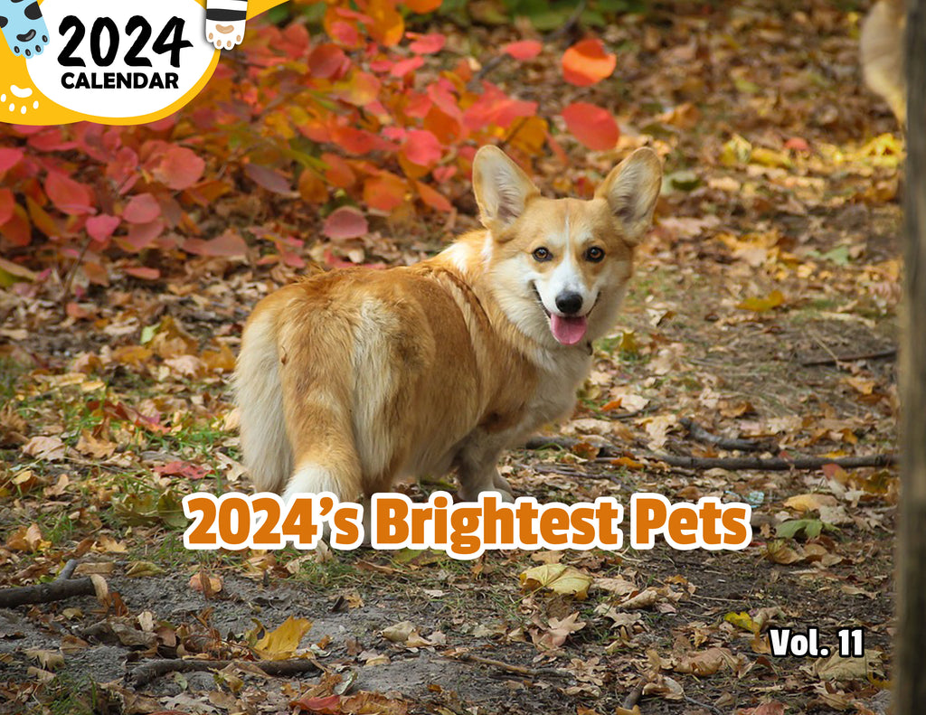 2024's Brightest Pets Volume Eleven: 2024 Wall Calendar (Published)