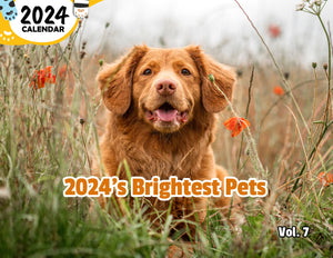 2024's Brightest Pets Volume Seven: 2024 Wall Calendar (Published)