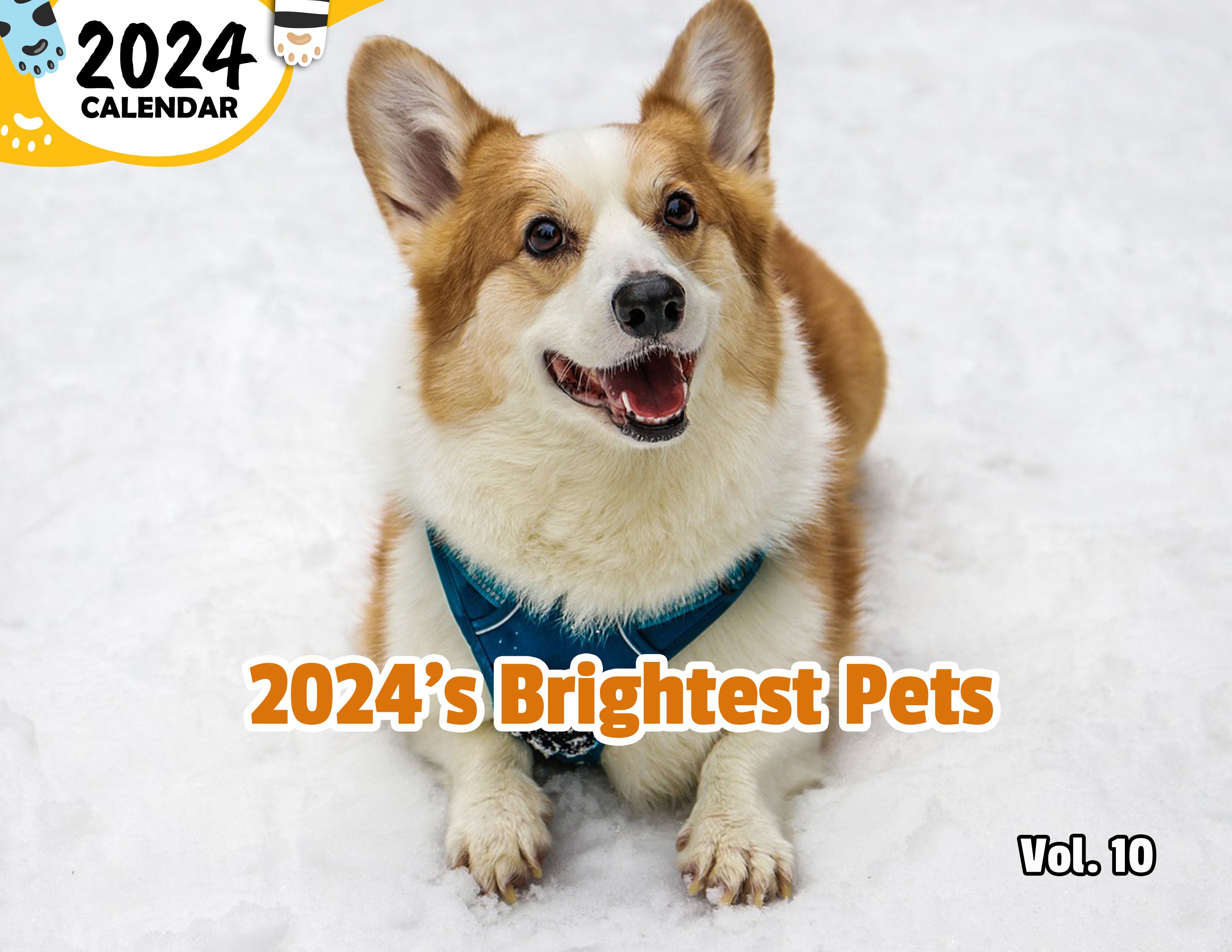 2024's Brightest Pets Volume Ten: 2024 Wall Calendar (Published)