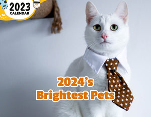 2024's Brightest Pets: 2024 Wall Calendar (Published)