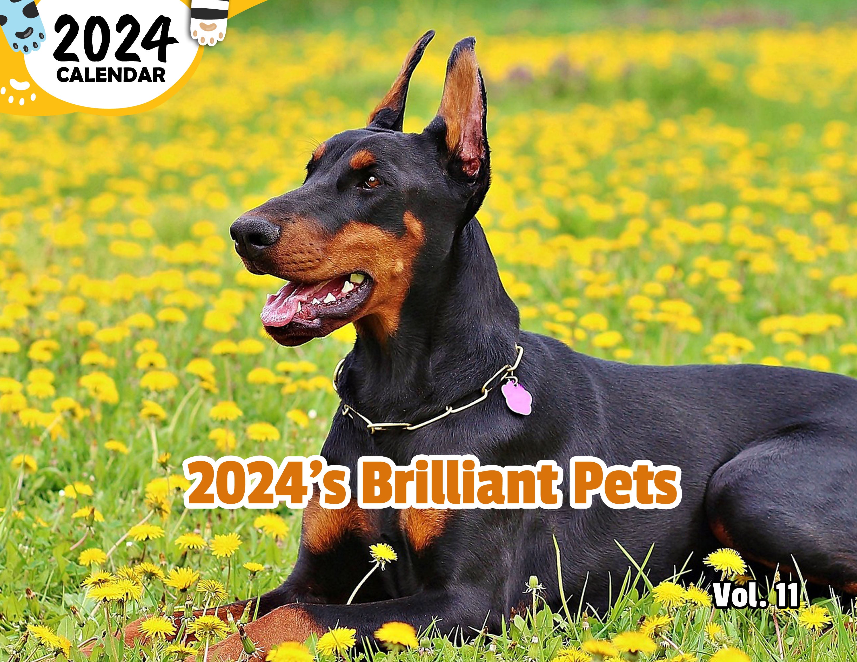 2024's Brilliant Pets Volume Eleven: 2024 Wall Calendar (Published)