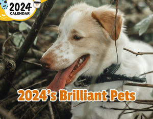 2024's Brilliant Pets: 2024 Wall Calendar (Published)