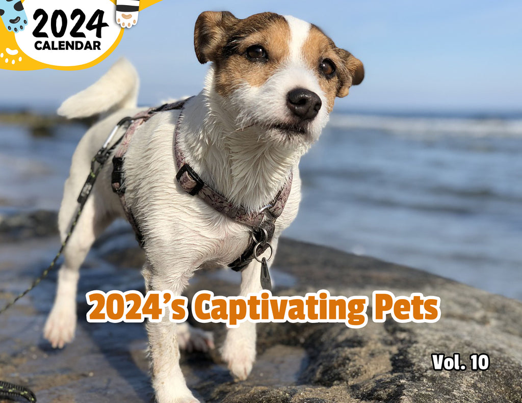 2024's Captivating Pets Volume Ten: 2024 Wall Calendar (Published)