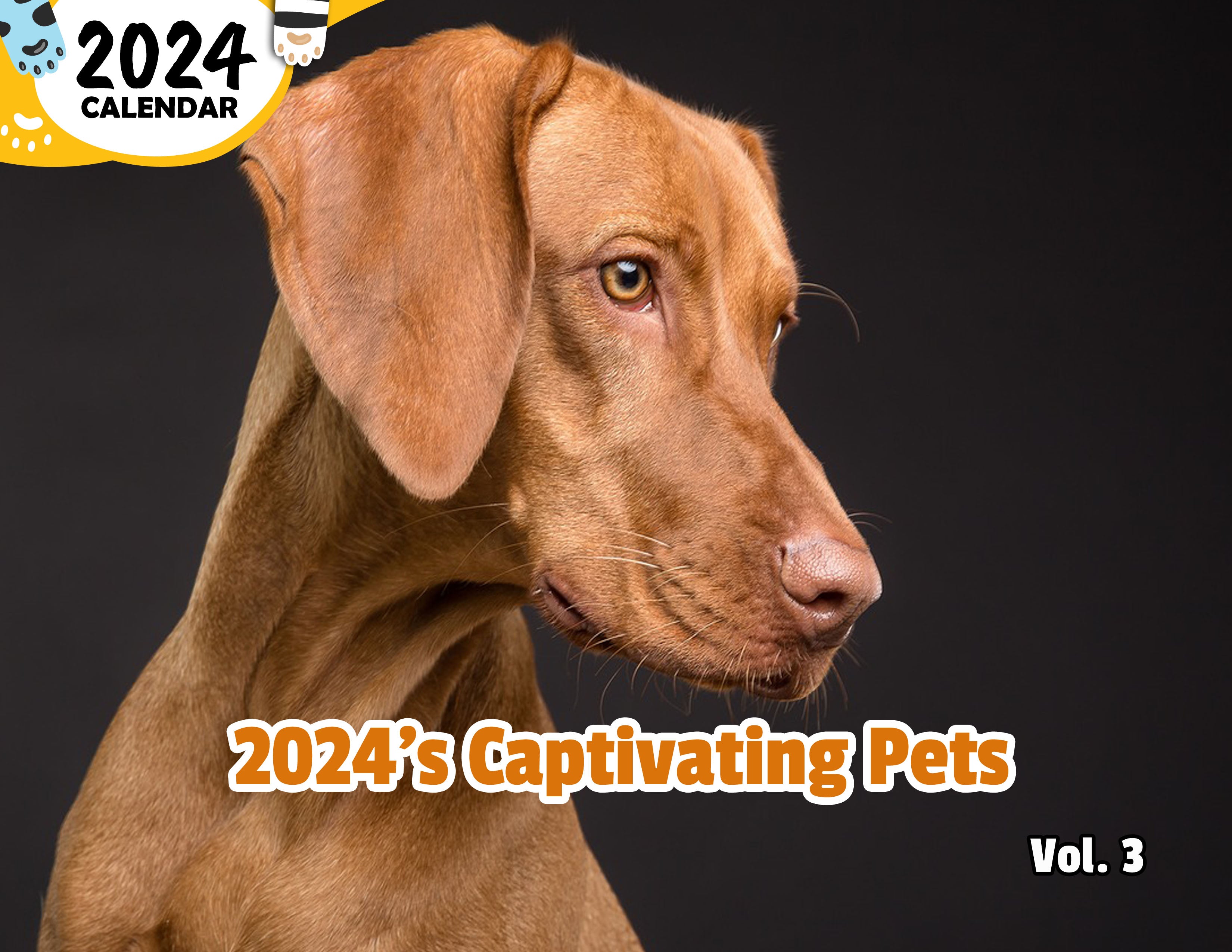 2024's Captivating Pets Volume Three: 2024 Wall Calendar (Published)