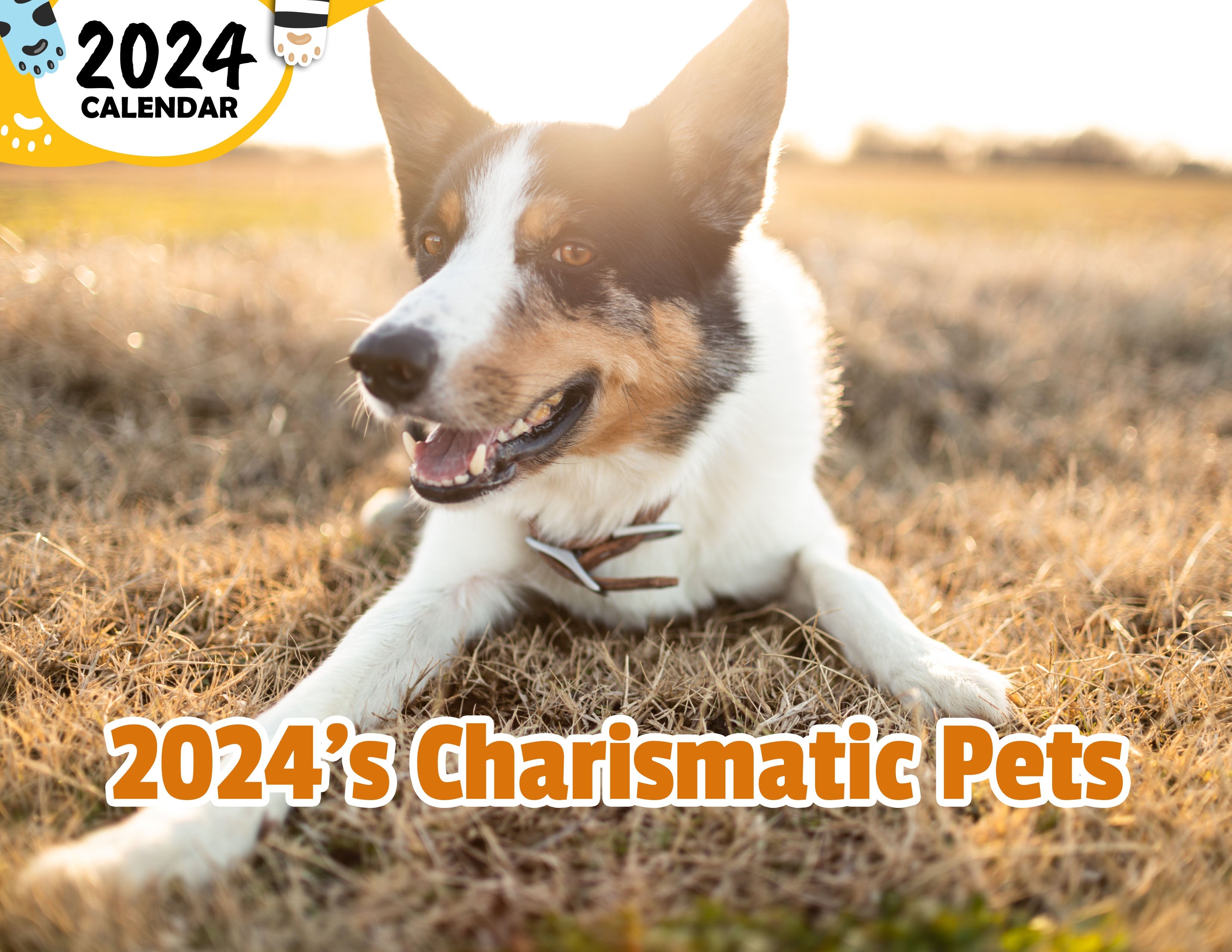 2024's Charismatic Pets: 2024 Wall Calendar (Published)