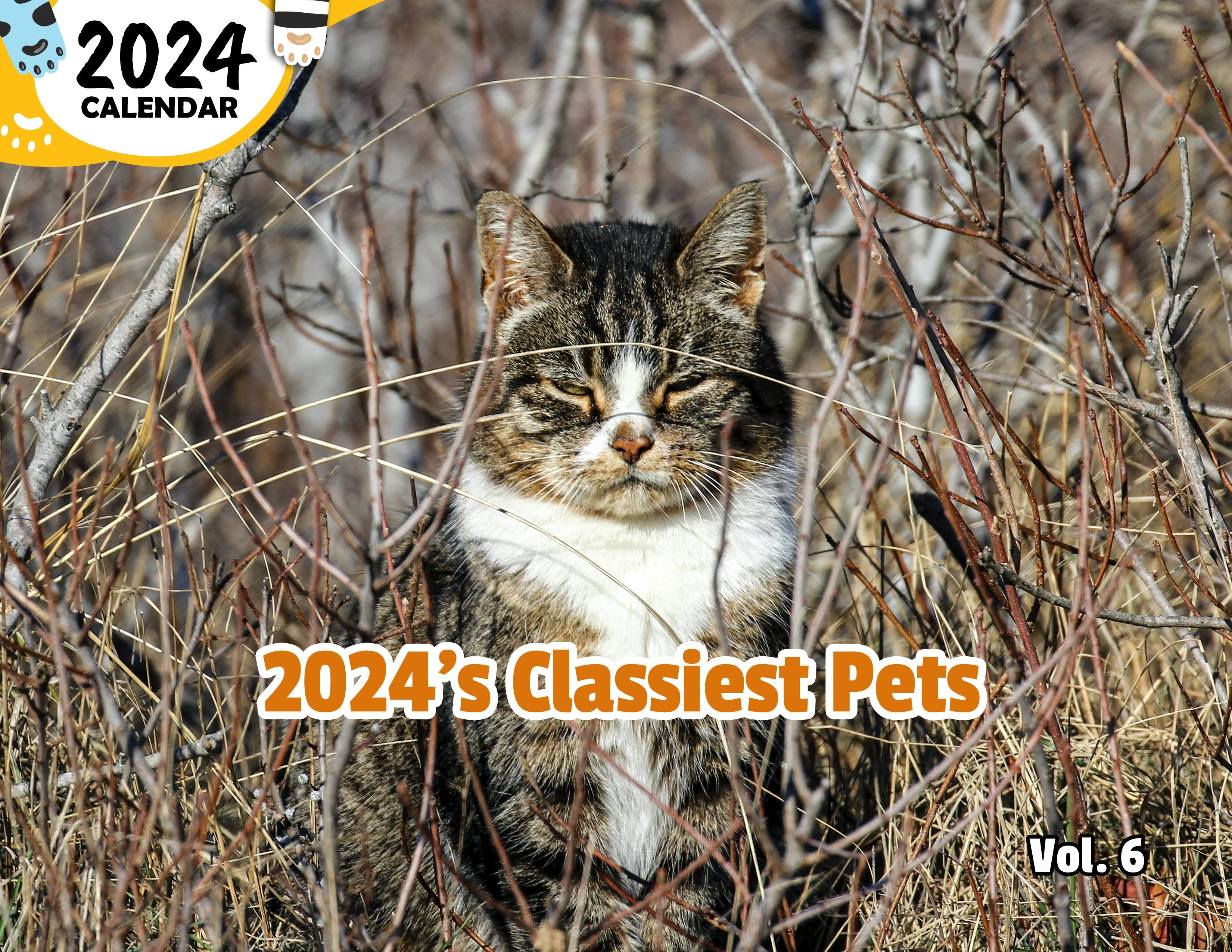 2024's Classiest Pets Volume Six: 2024 Wall Calendar (Published)