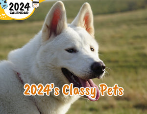 2024's Classy Pets: 2024 Wall Calendar (Published)