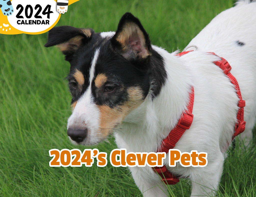 2024's Clever Pets: 2024 Wall Calendar (Published)