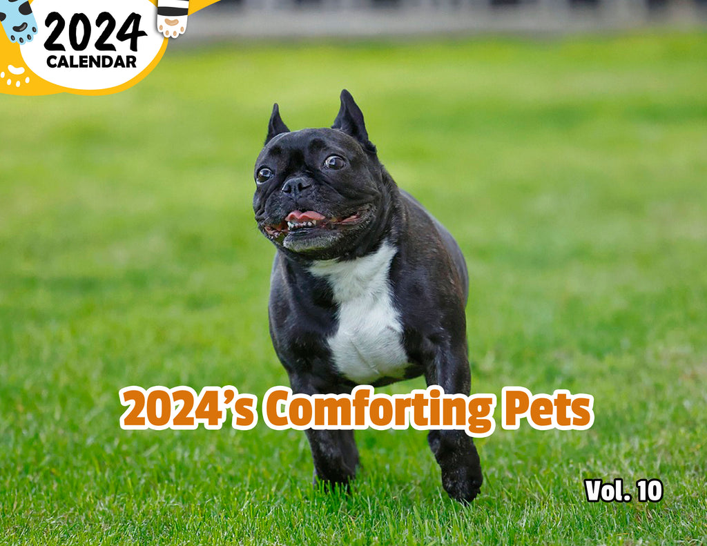 2024's Comforting Pets Volume Ten: 2024 Wall Calendar (Published)