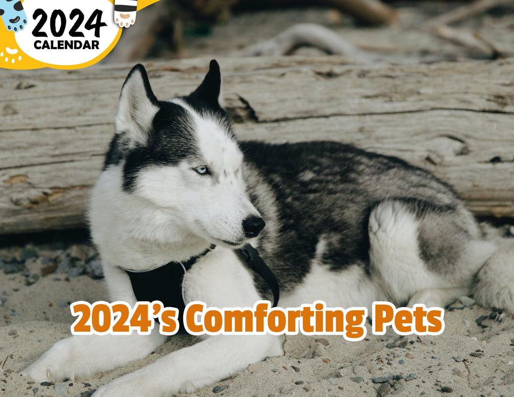 2024's Comforting Pets: 2024 Wall Calendar (Published)