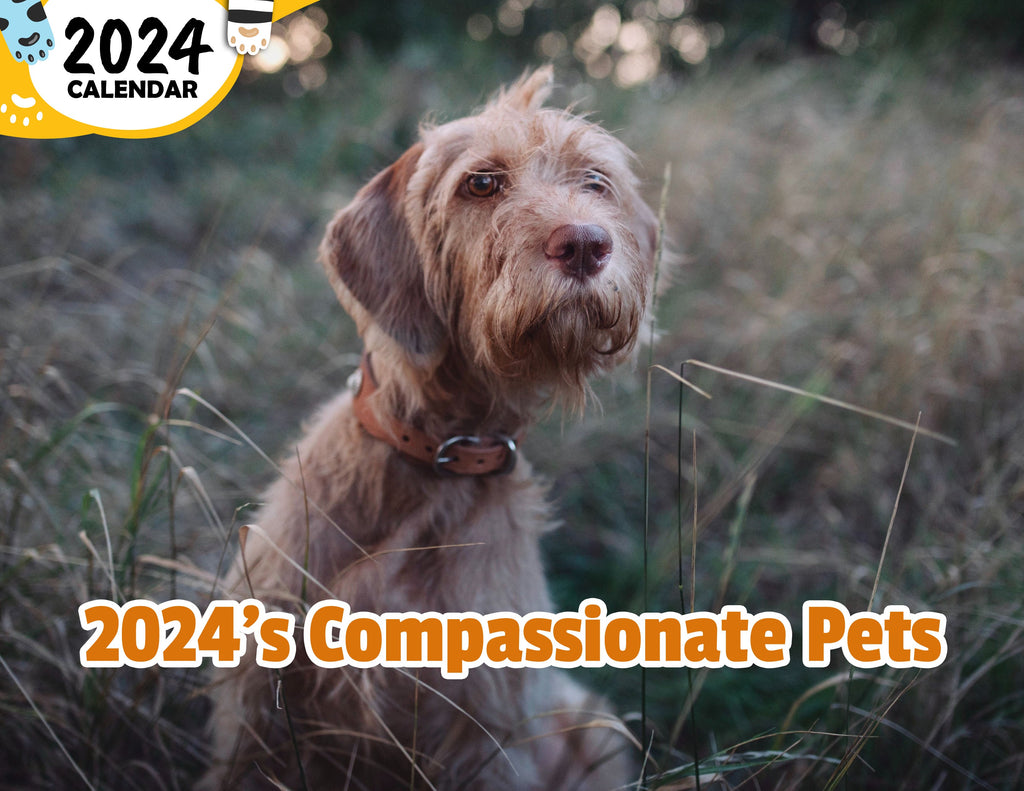 2024's Compassionate Pets: 2024 Wall Calendar (Published)