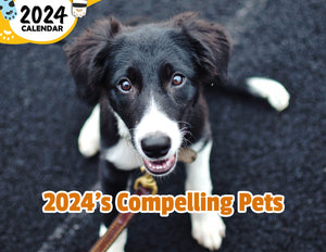 2024's Compelling Pets: 2024 Wall Calendar (Published)