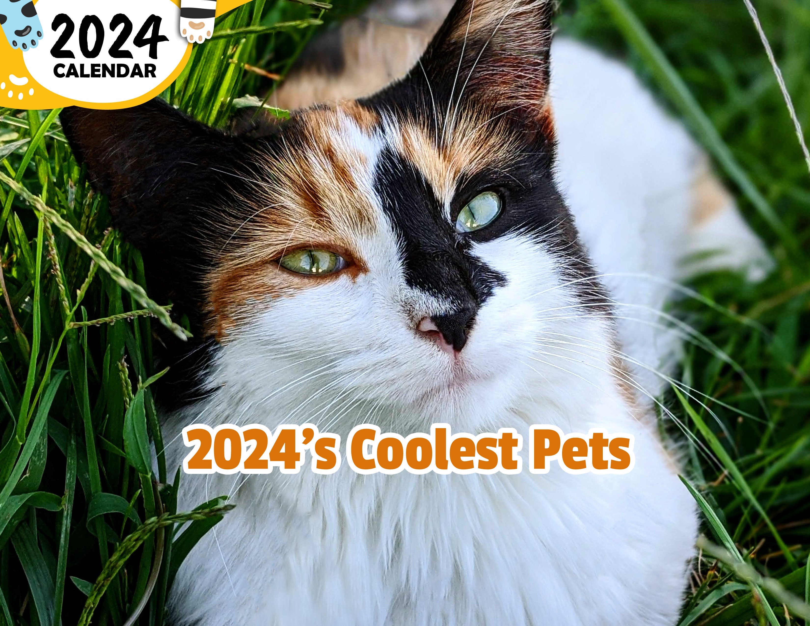 2024's Coolest Pets 2024 Wall Calendar (PreOrder) Praise My Pet!