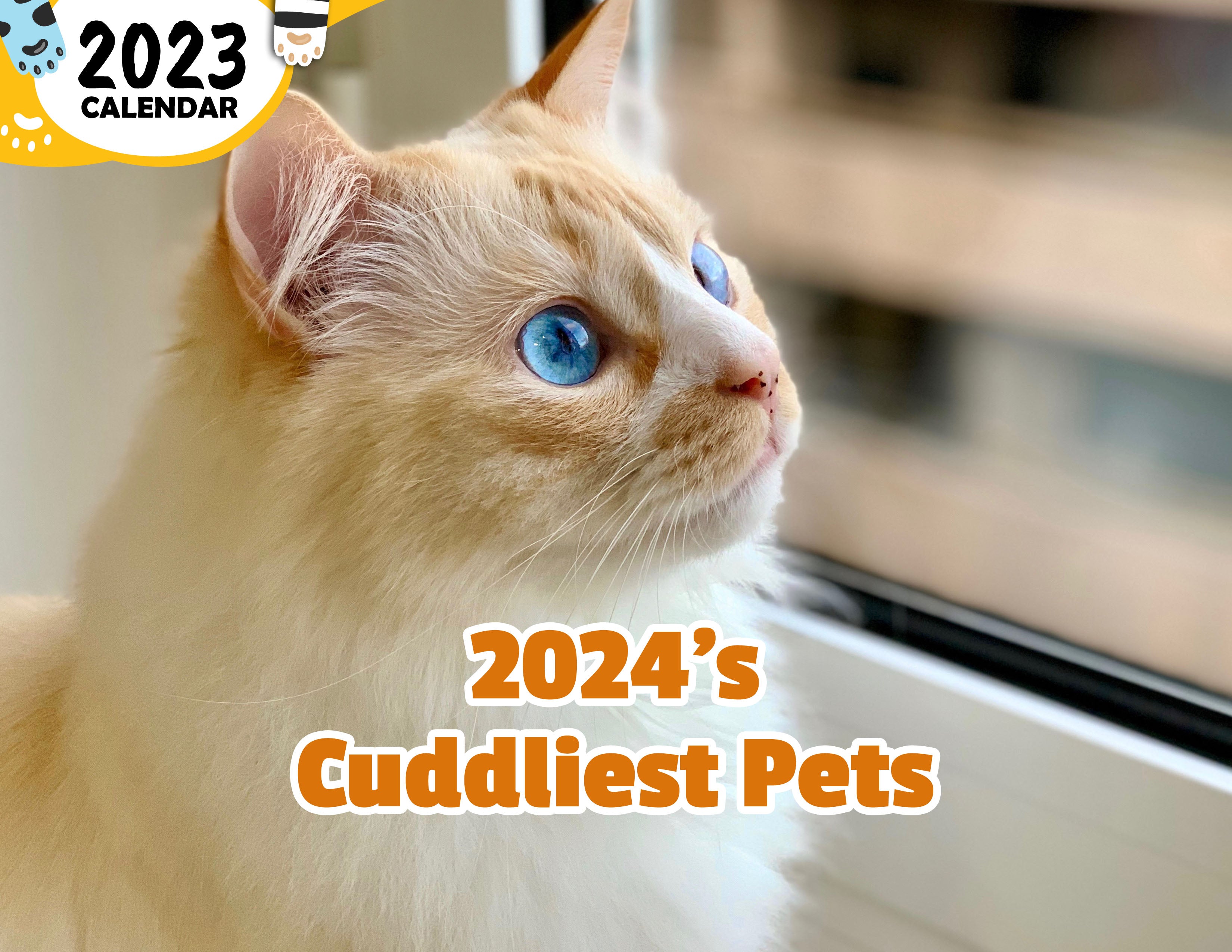 2024's Cuddliest Pets: 2024 Wall Calendar (Published)