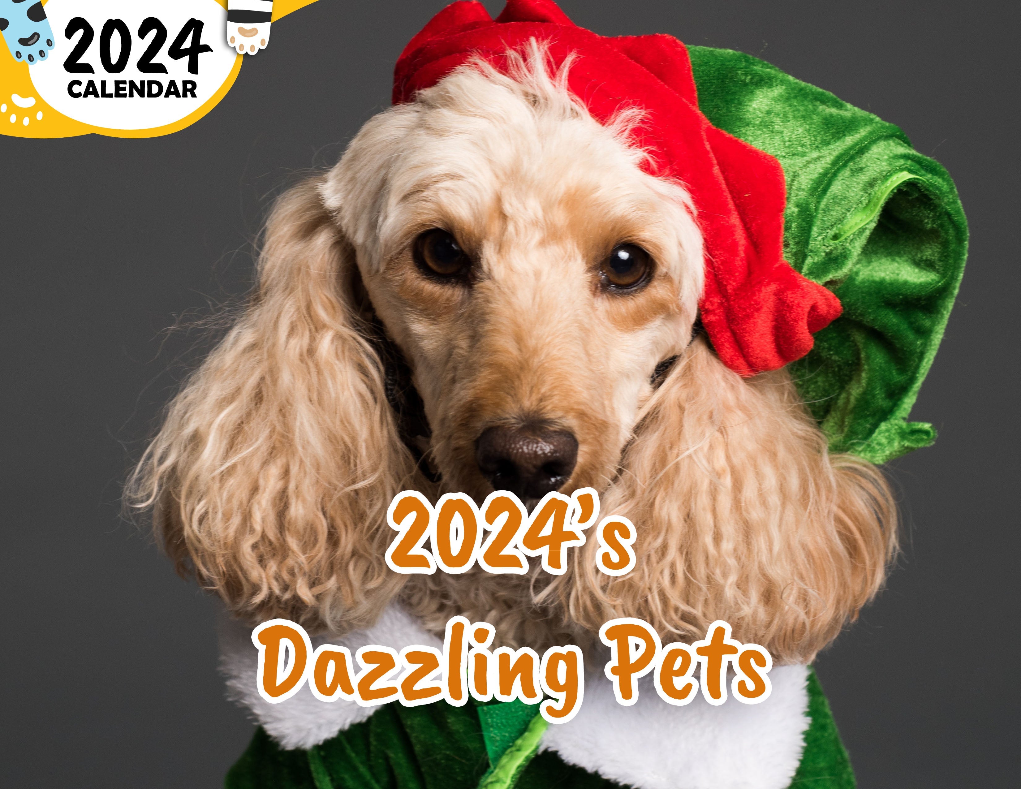 2024's Dazzling Pets: 2024 Wall Calendar (Published)