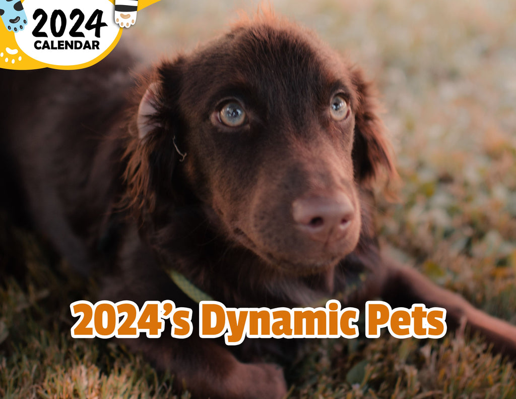2024's Dynamic Pets: 2024 Wall Calendar (Published) – Praise My Pet!