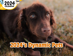 2024's Dynamic Pets: 2024 Wall Calendar (Published)