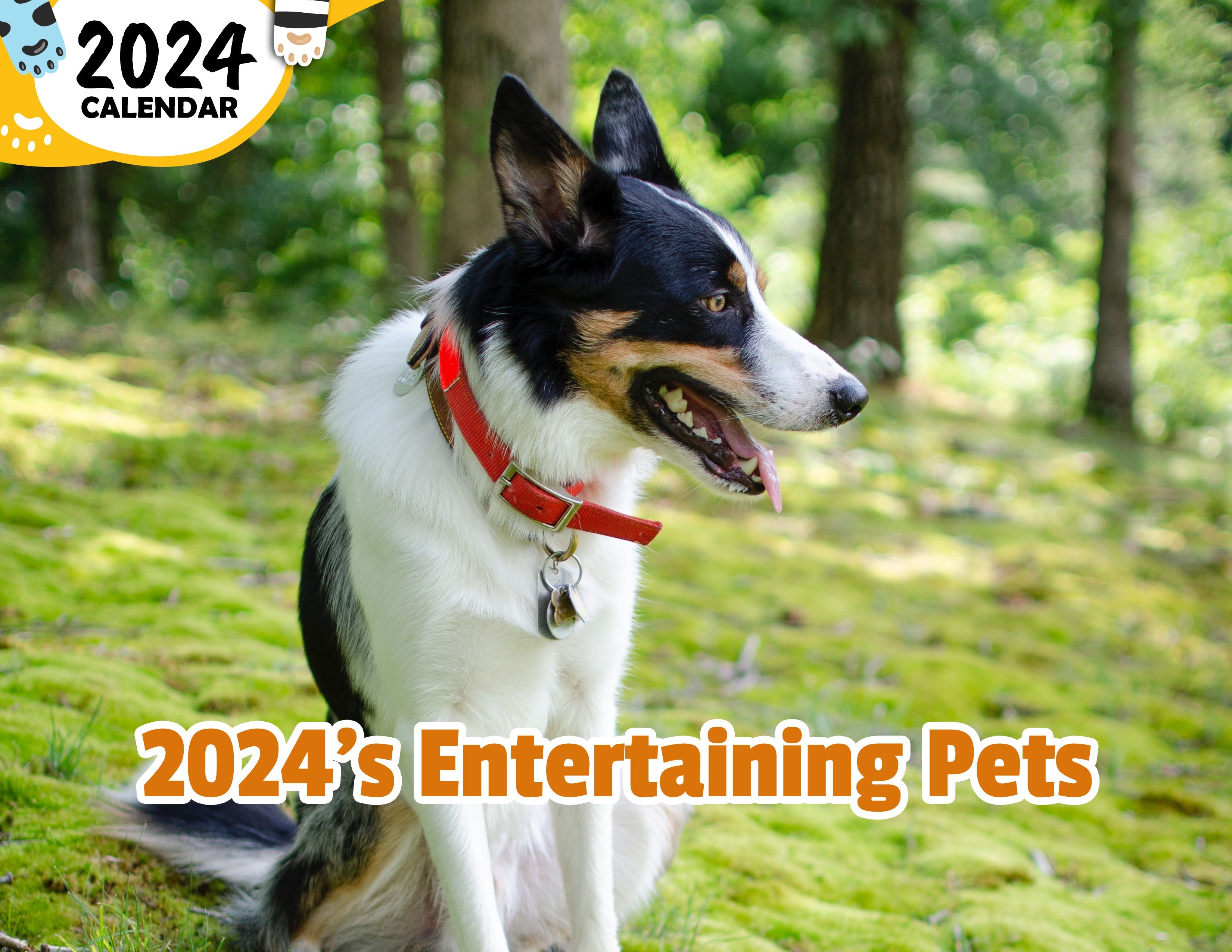 2024's Entertaining Pets: 2024 Wall Calendar (Published)